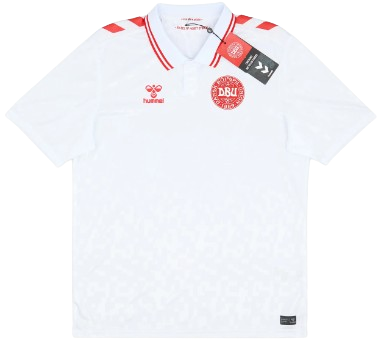 Denmark Euro Kit 2024