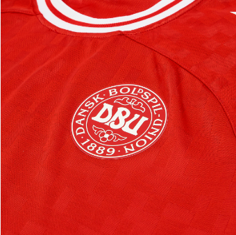 Denmark 2024 Euro Home Kit