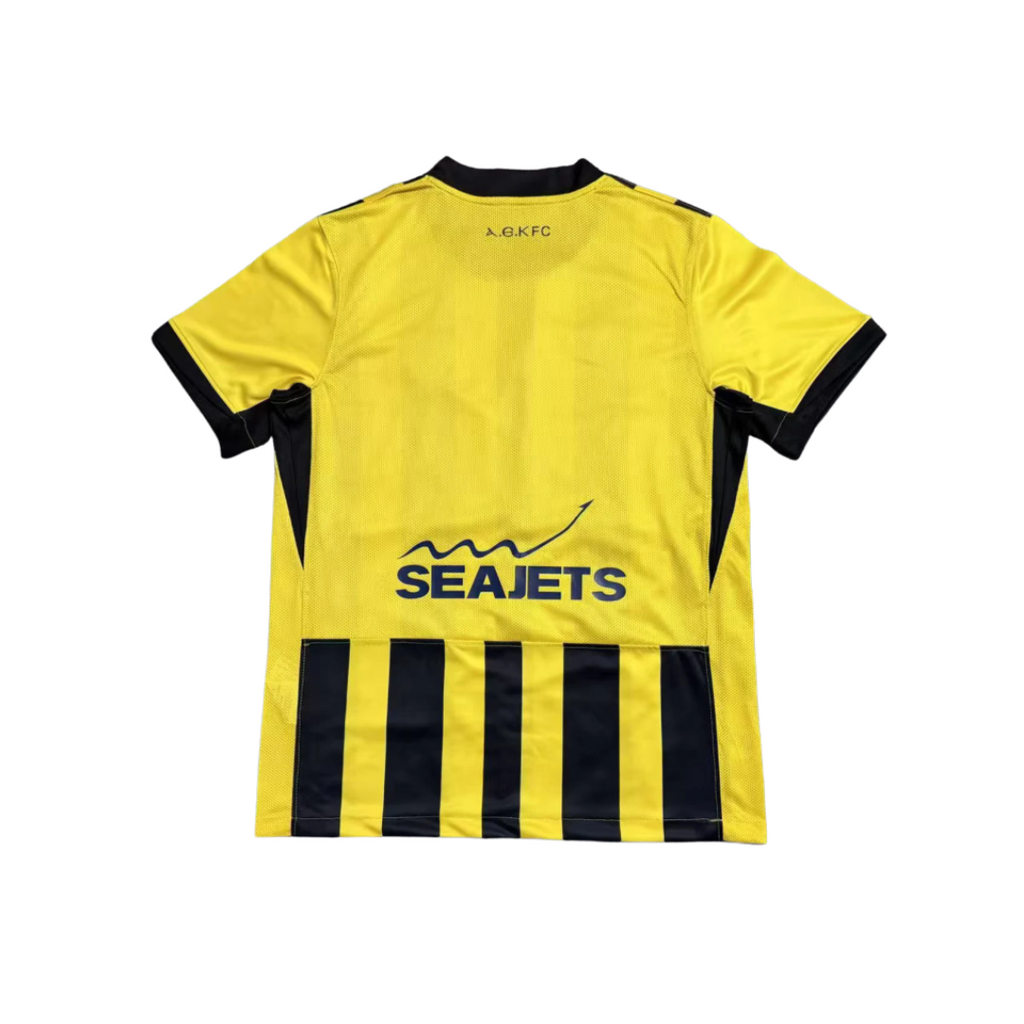 AEK Athens 2025/26 (Home Shirt)